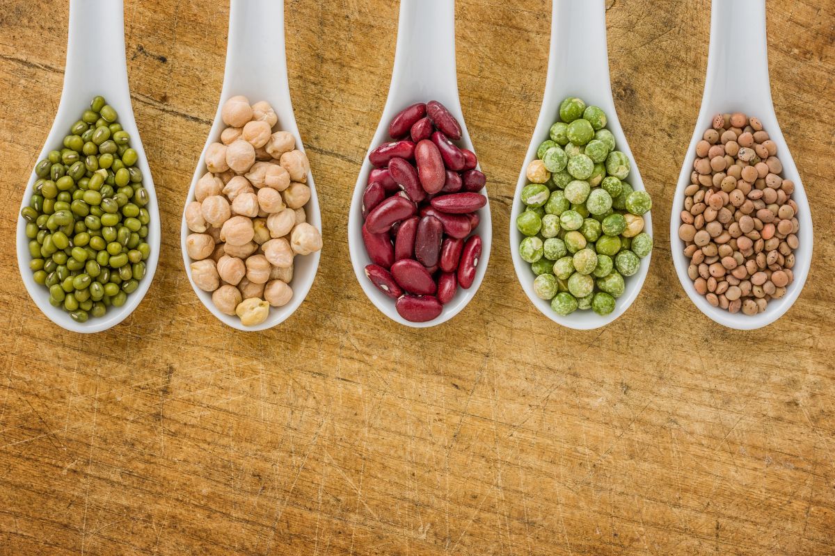 Different Types Of Legumes