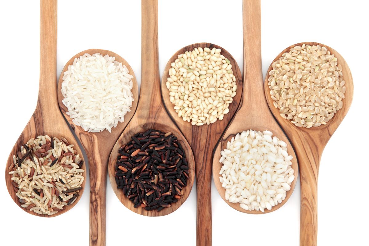 Different Types Of Rice Grains