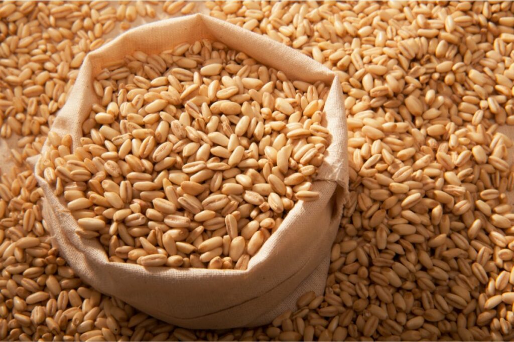 Is Barley Gluten-Free?