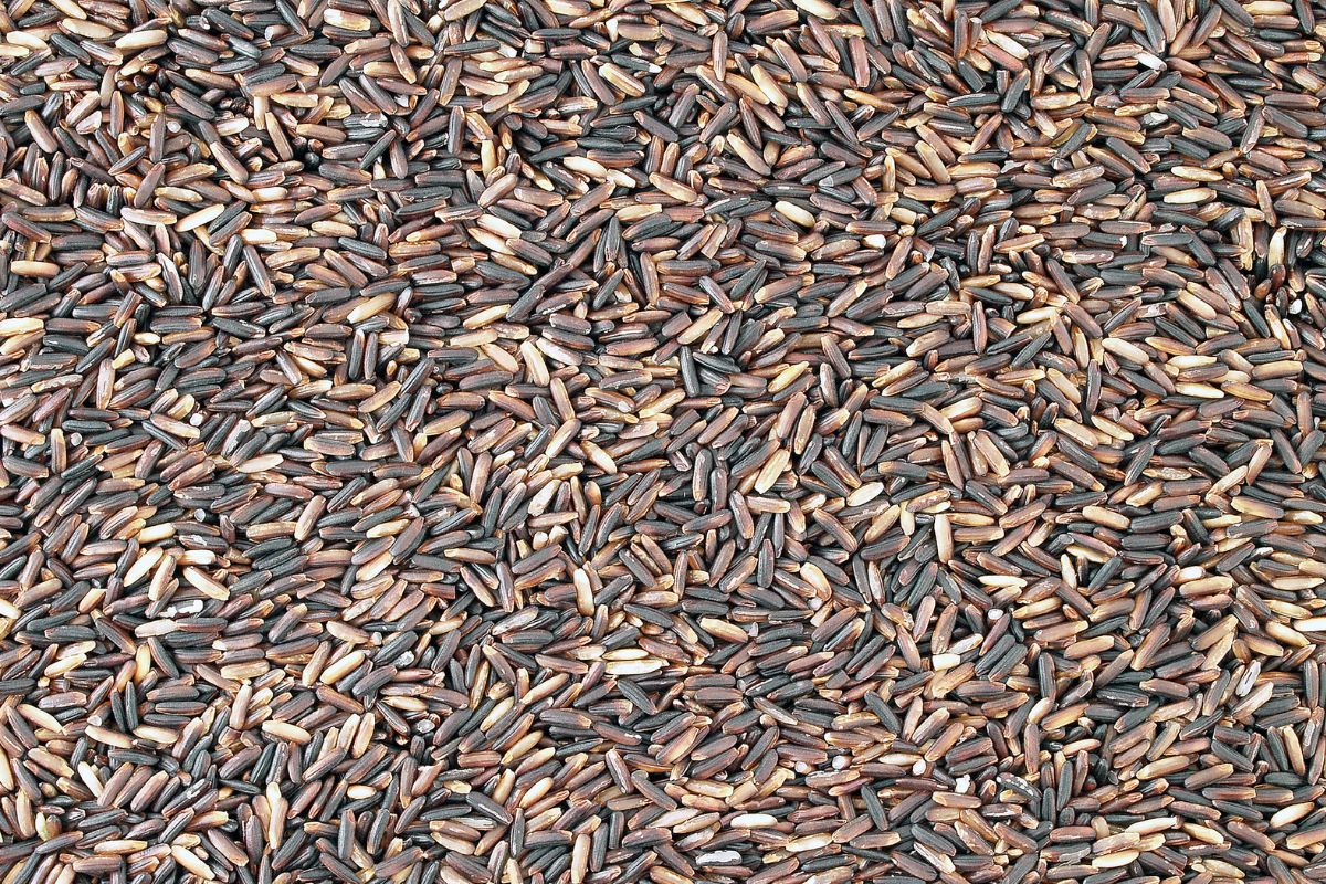 What Does Enriched Rice Mean? Common Grains