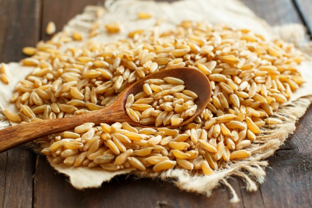 Kamut: A complete guide to the nutritious ancient grain - Common Grains