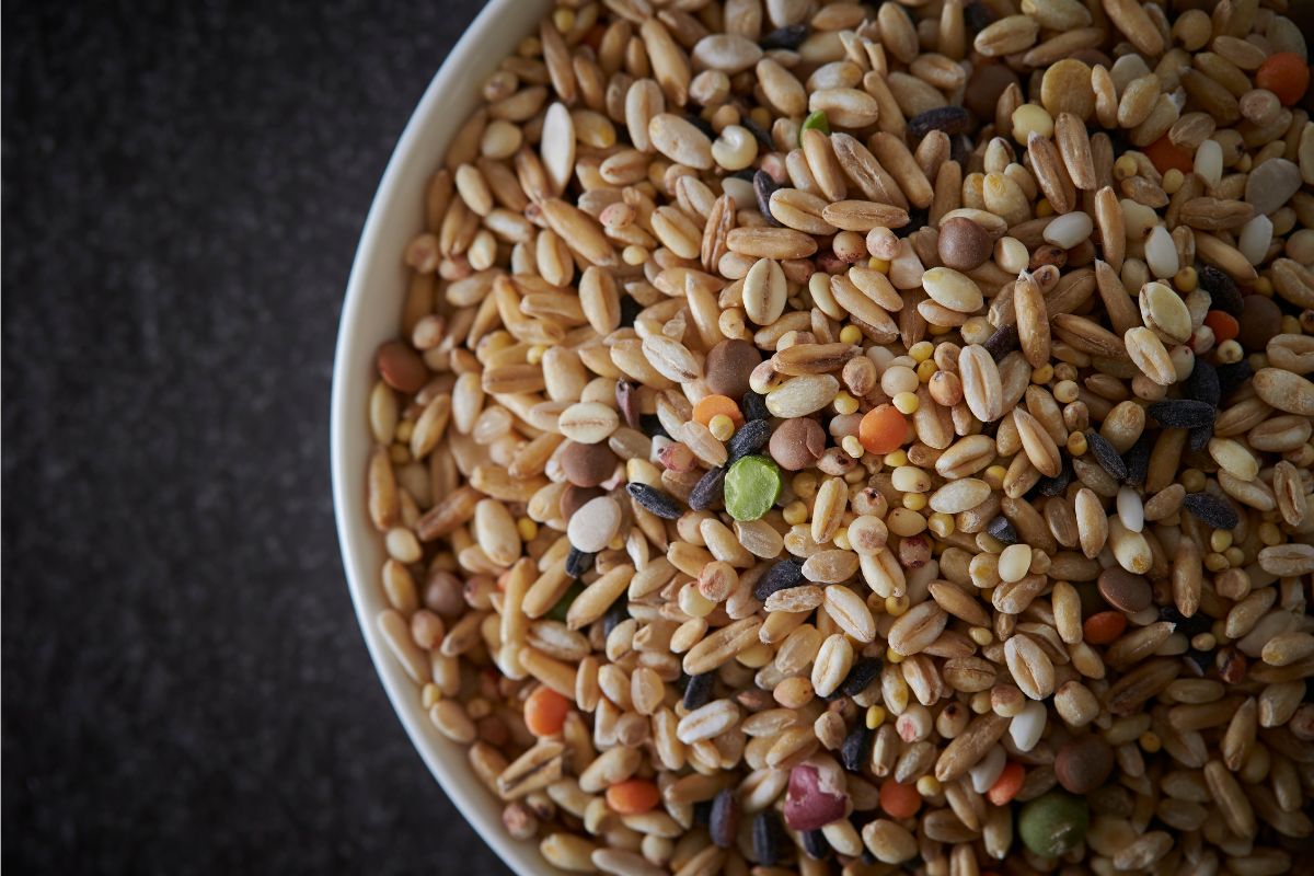 What Is Multigrain with Ingredient Examples Common Grains
