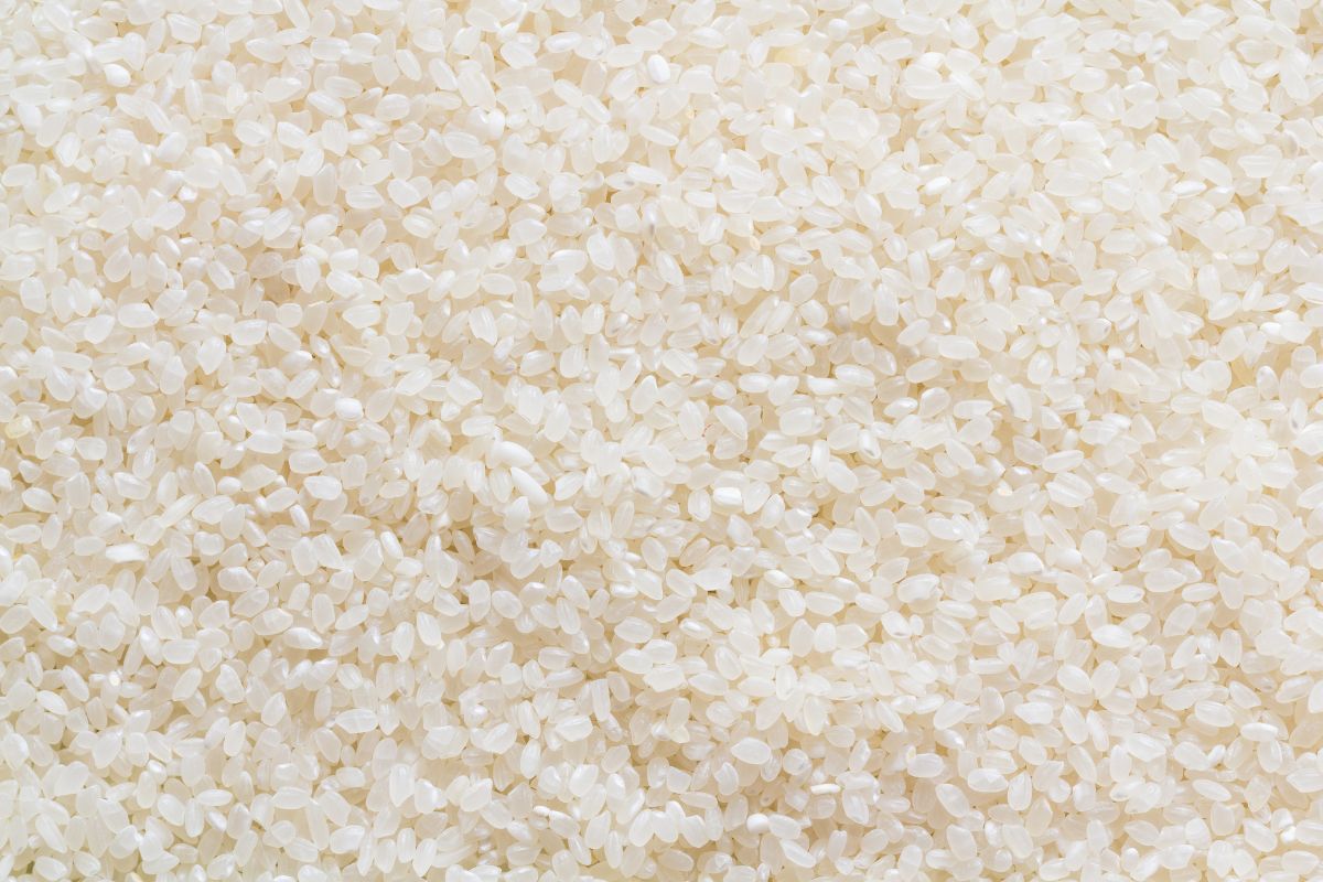 What Is Short Grained Rice?