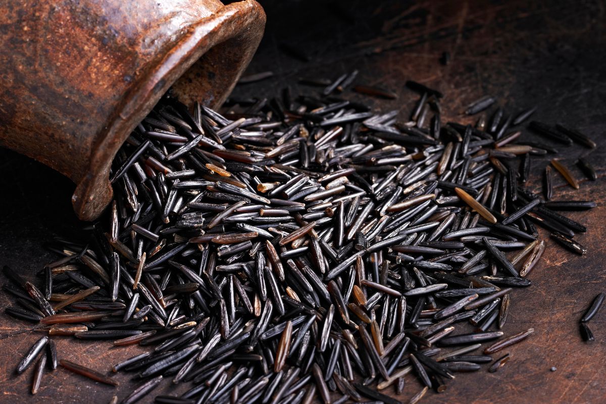 What Is The Nutritional Value Of Wild Rice?