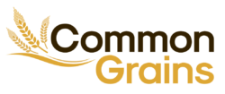 Common Grains