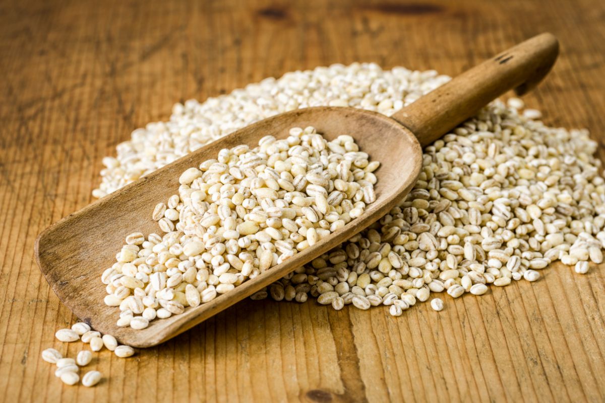 10 Mediterranean Grains - Common Grains