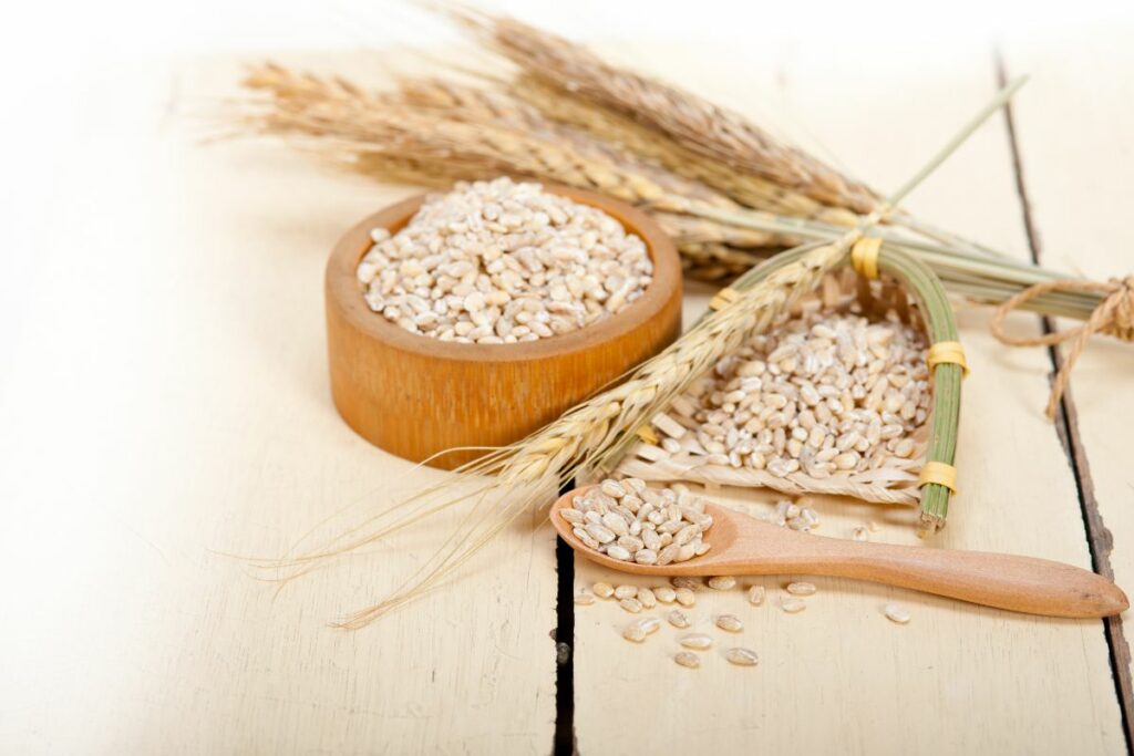 10 Mediterranean Grains - Common Grains