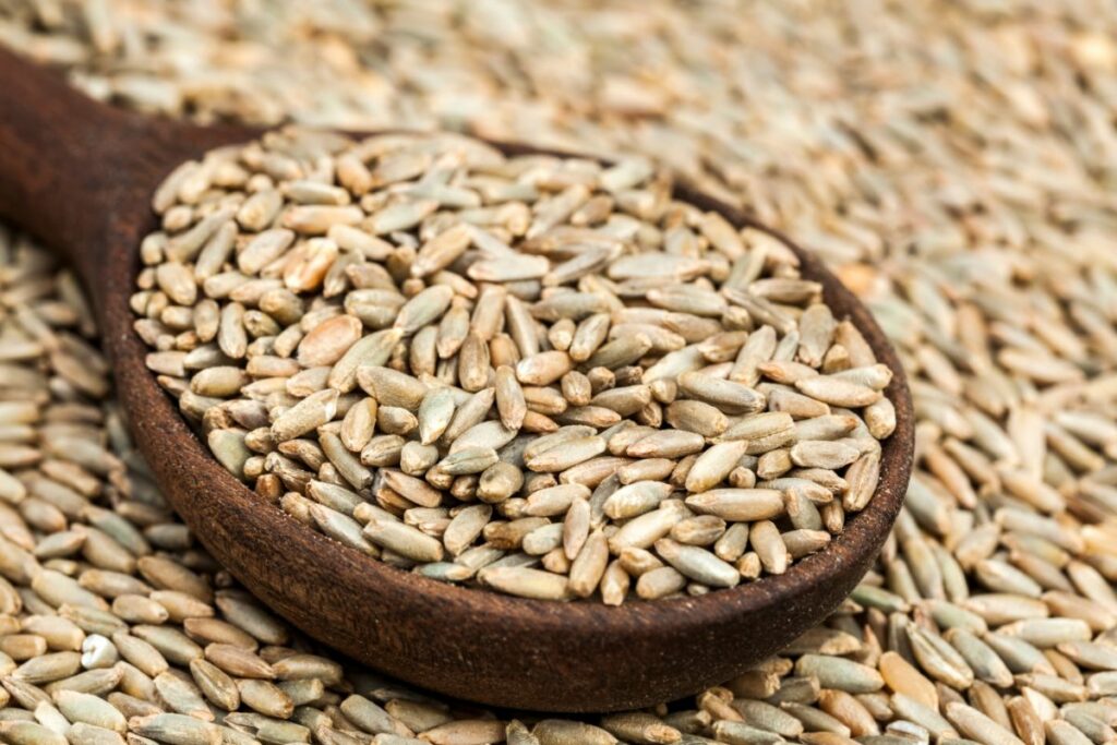 10 Popped Grains - Common Grains