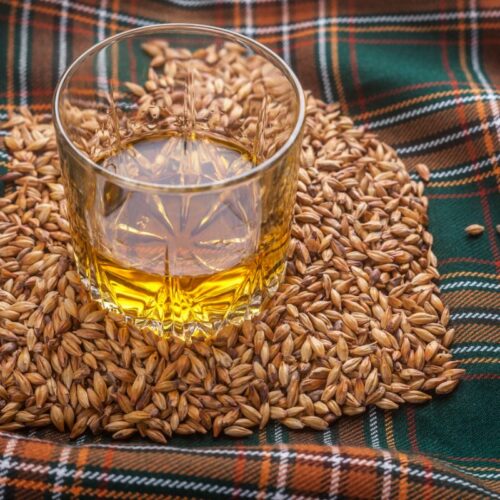 12 Keto Friendly Grains Common Grains