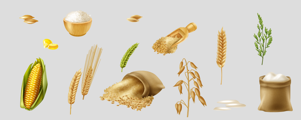 What Are Grains