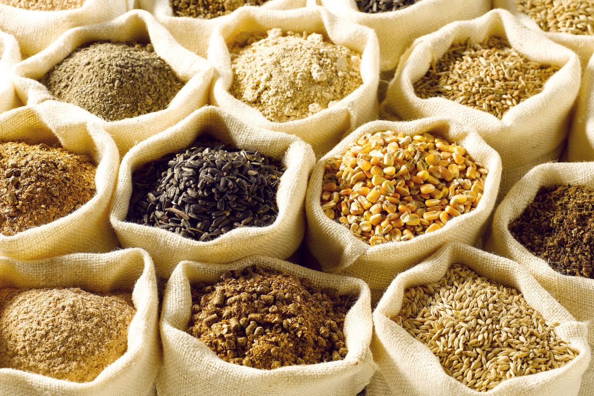 13 Different Types Of Grains