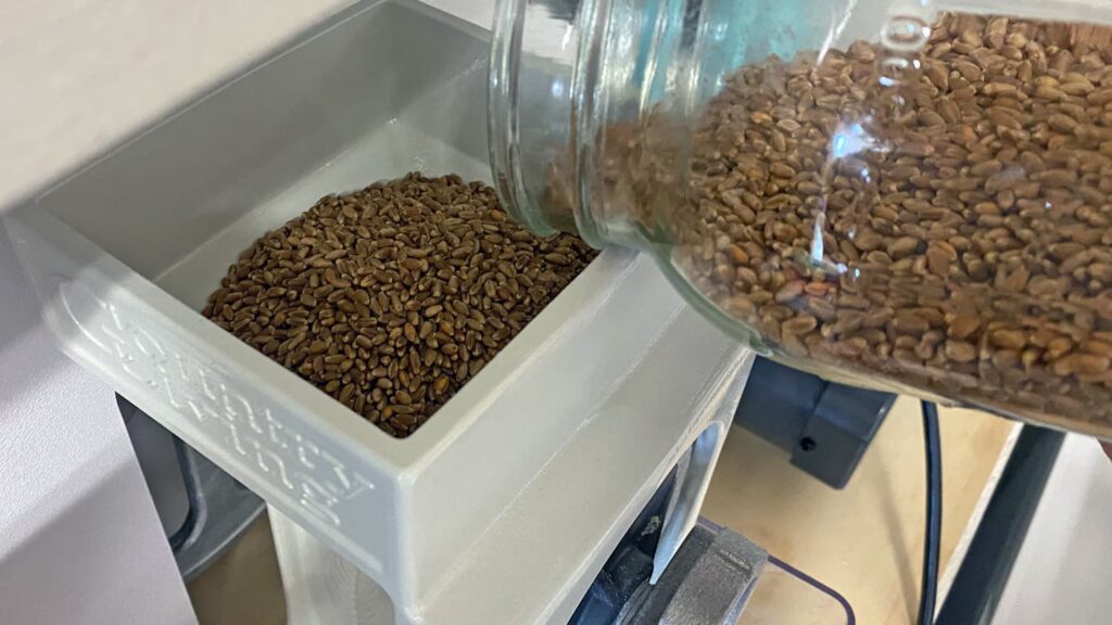 Pouring whole wheat berries into a grinder