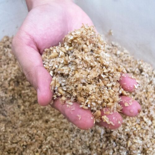 10 Delicious Spent Grain Bread Recipes You Need To Try With Your Favorite Soup Common Grains