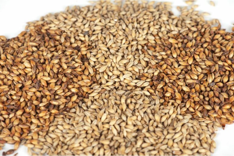 6 Malted (or sprouted) grains Common Grains