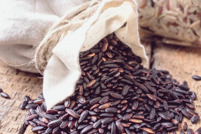 8 Highprotein grains Common Grains