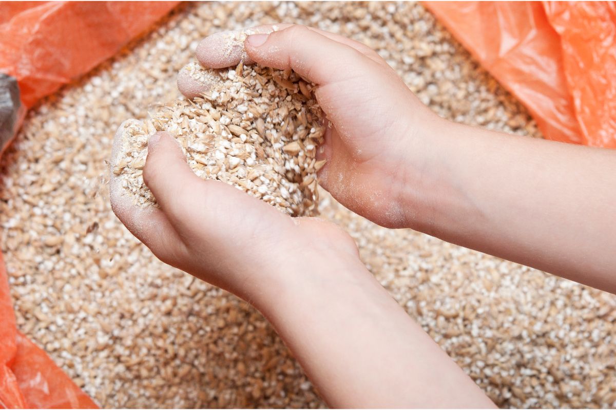 How Long Do Milled Grains Last And How To Store Them?