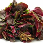 Is Amaranth Good For IBS?