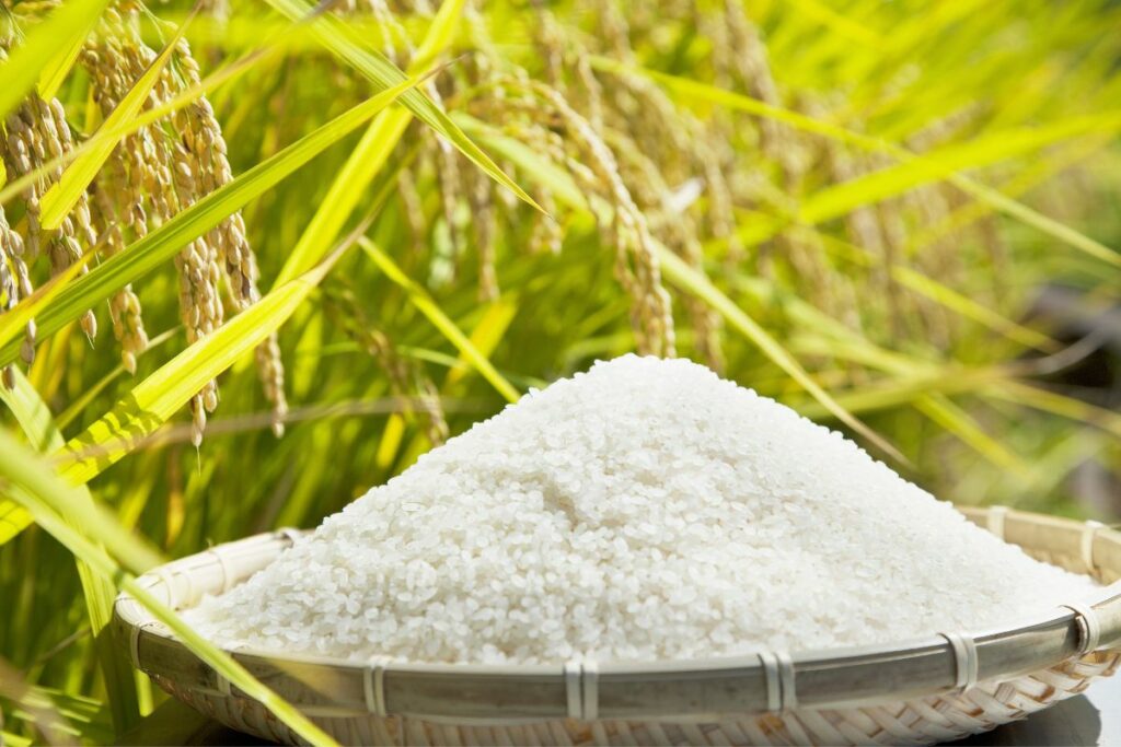 Is Eating Rice Daily OK - Healthy Grains Guide
