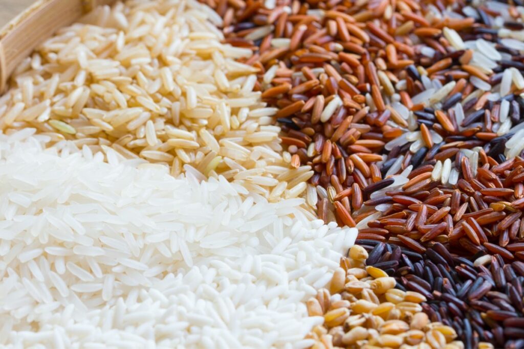 Is Rice A Protein Or Carb? - Healthy Grains Guide