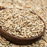 Rye Vs Wheat - Health Impact And Nutrition Comparison