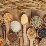 What Are Cereal Grains?