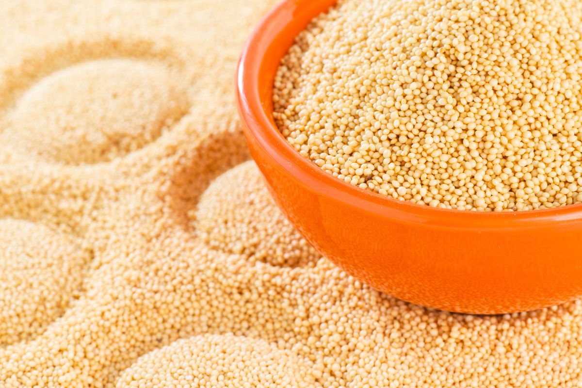 What Are The Side Effects Of Amaranth - Everything You Need To Know