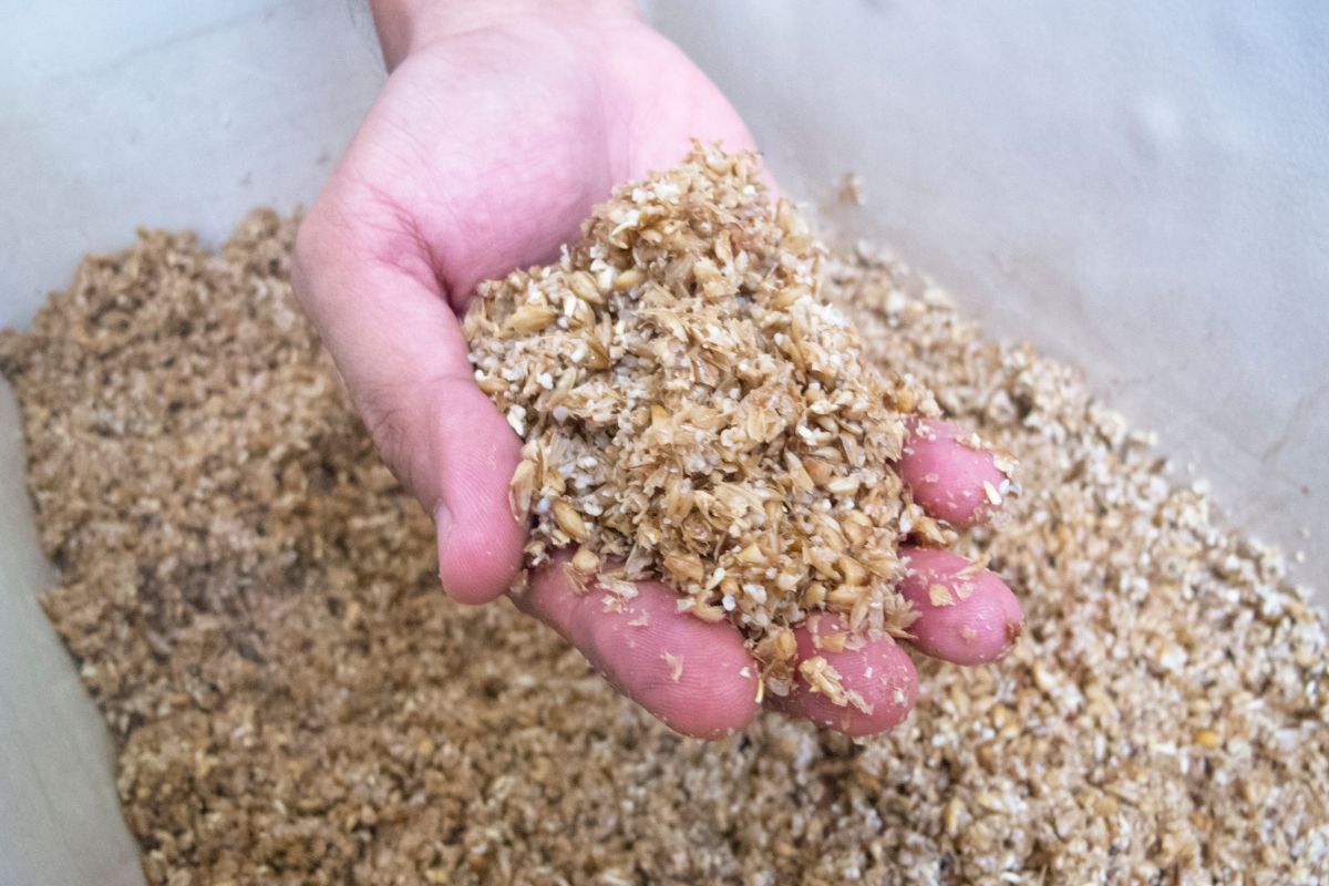 What Can You Make With Spent Grain? 5 Delicious Ways You Can Prepare Them