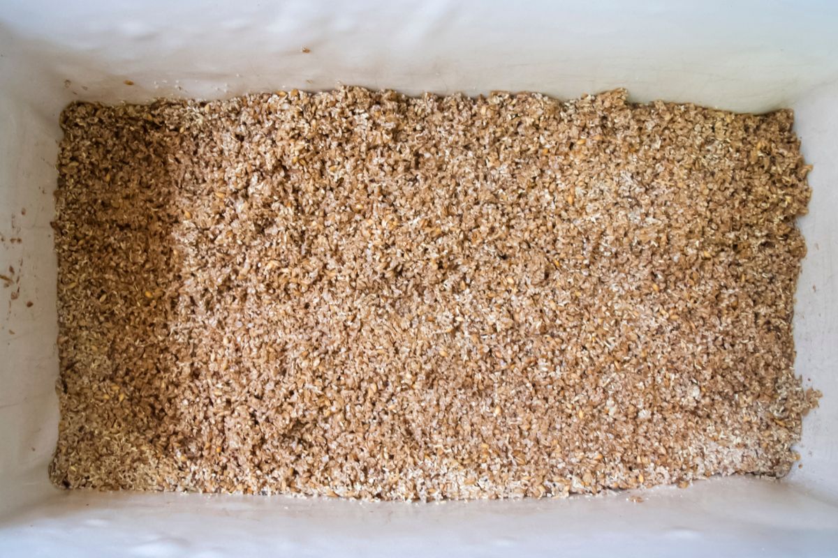 What Do Spent Grains Taste Like How To Prepare Them