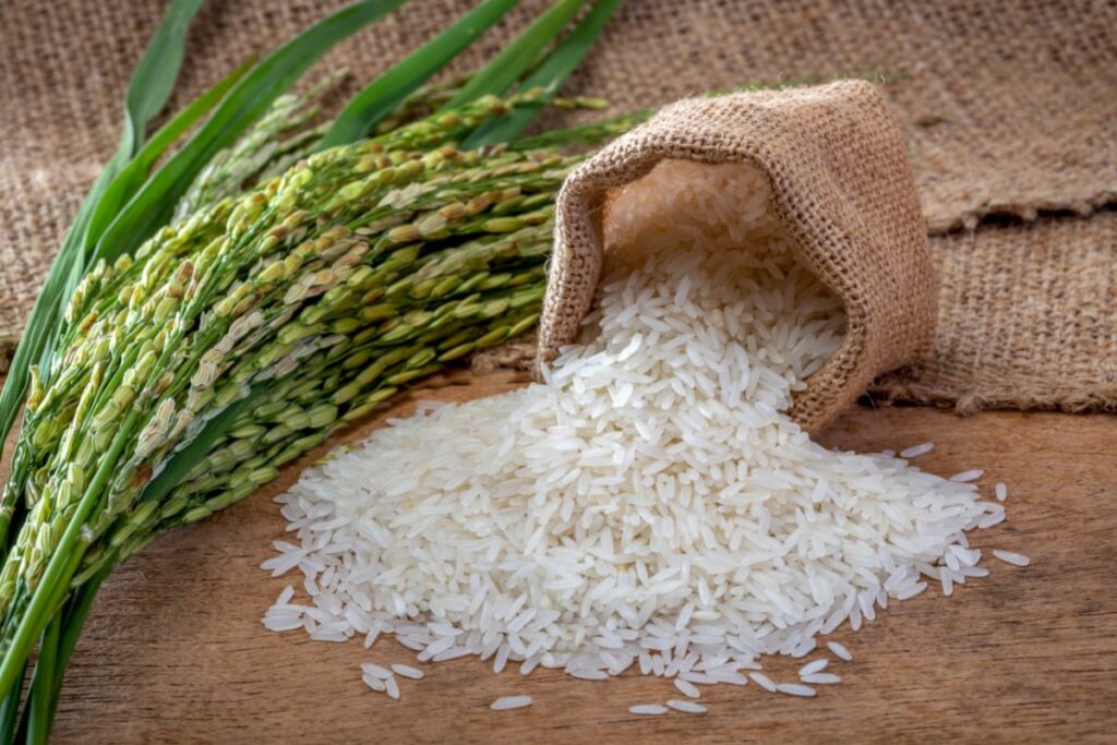 What Does Rice Do To Your Stomach? - Healthy Grains Guide