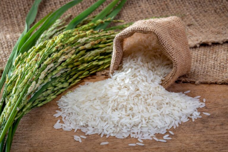 What does rice do to your stomach? Common Grains