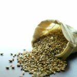 What Is Malted Barley Flour?