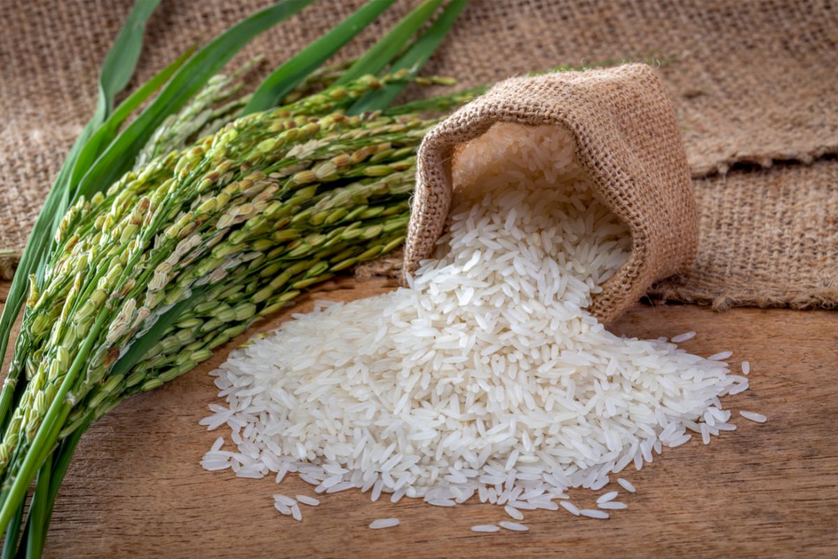Where Is Rice Originally From Healthy Grains Guide (1)