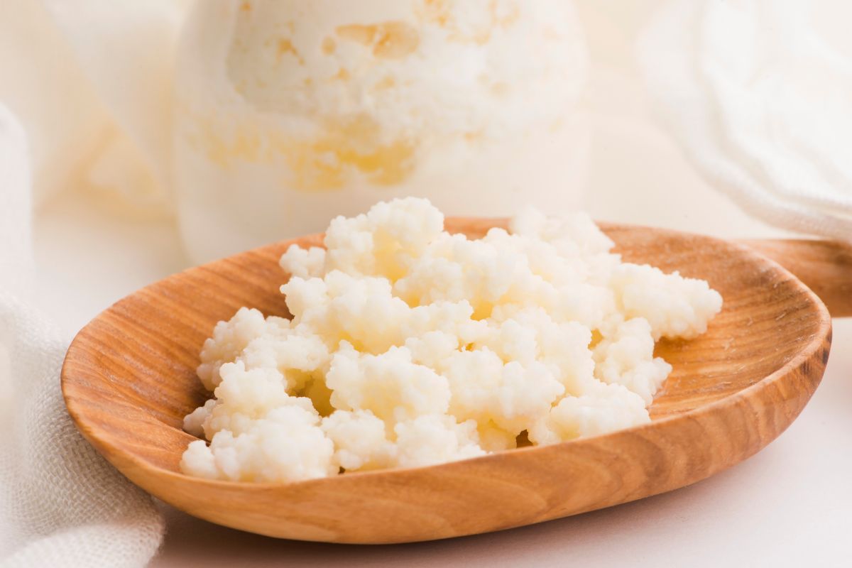 Kefir Grain Substitutes & How To Use Them