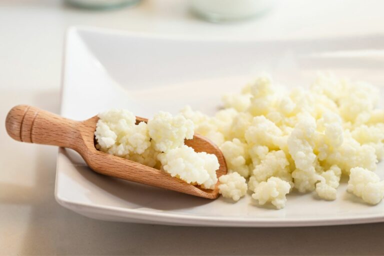 5 Kefir Grain Substitutes & How To Use Them Common Grains