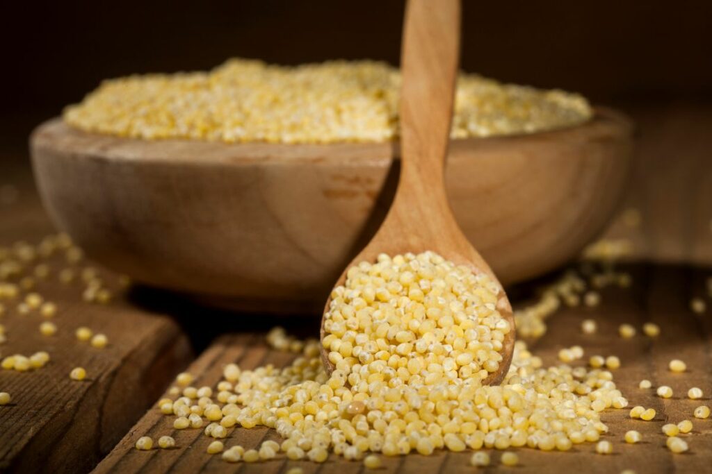 Millet For Diabetes Benefits For Diabetics Common Grains