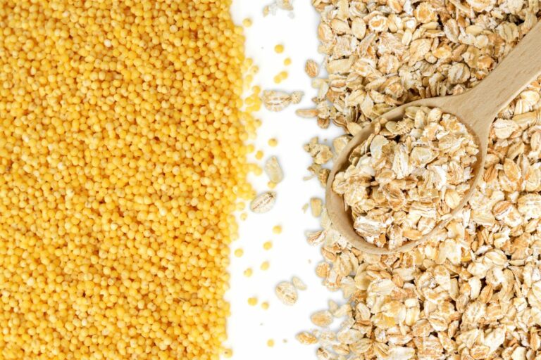 Millet vs oats Nutritional facts and comparison (with charts