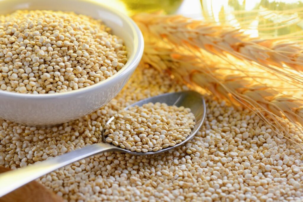 Millet Vs Quinoa The Key Differences Common Grains