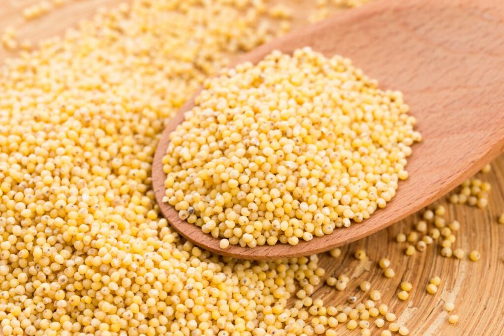 Millet Vs Quinoa: The Key Differences - Common Grains