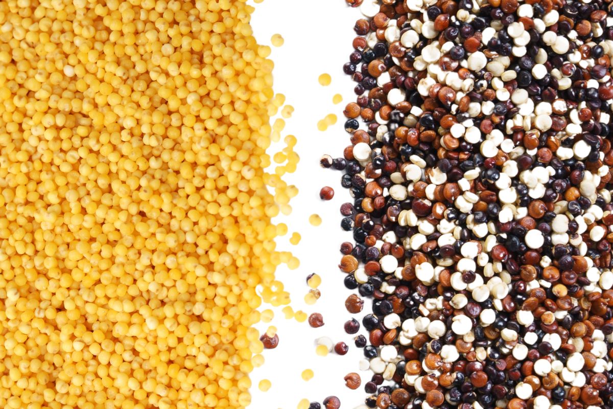 Millet Vs Quinoa: The Key Differences
