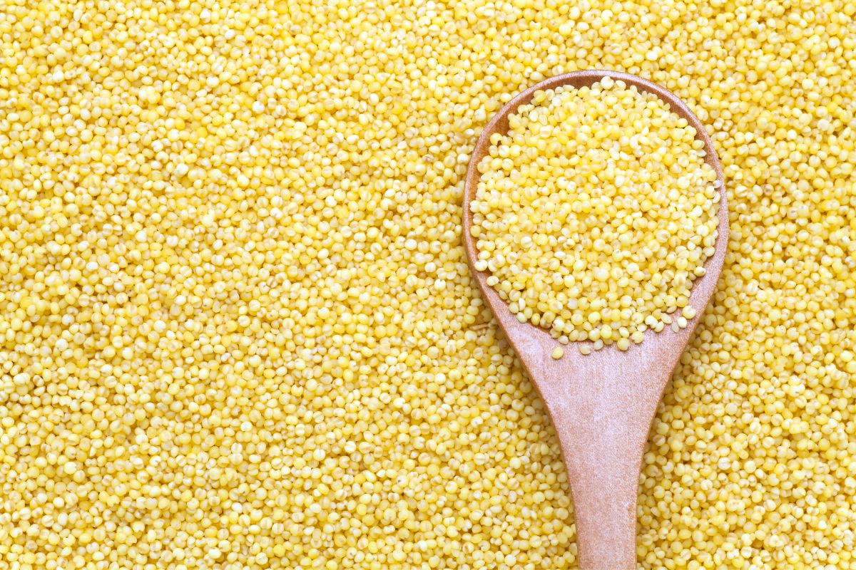 Proven Health Benefits Of Eating Millet
