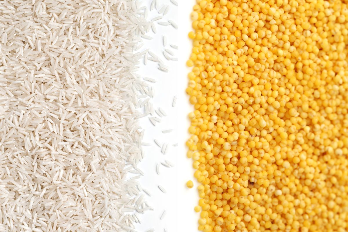 Rice vs Millet - Health impact and Nutrition Comparison