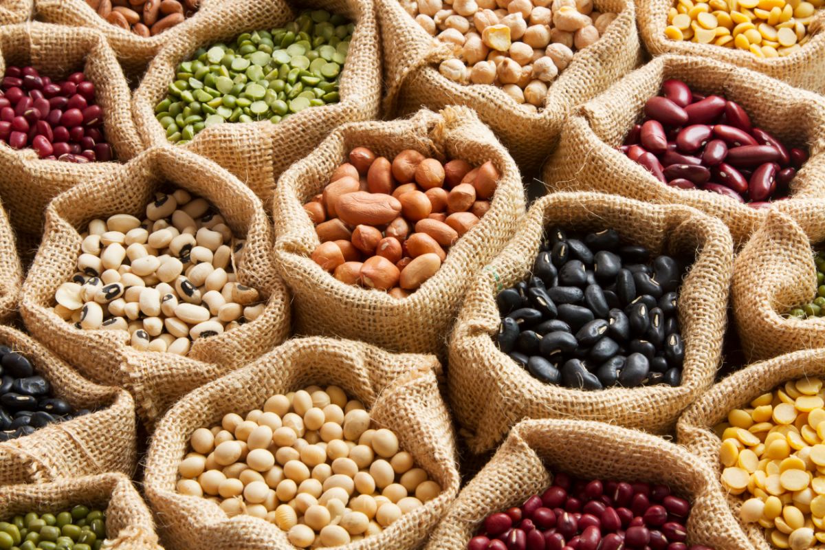 What Are Legumes [5 Common Examples You Should Know]