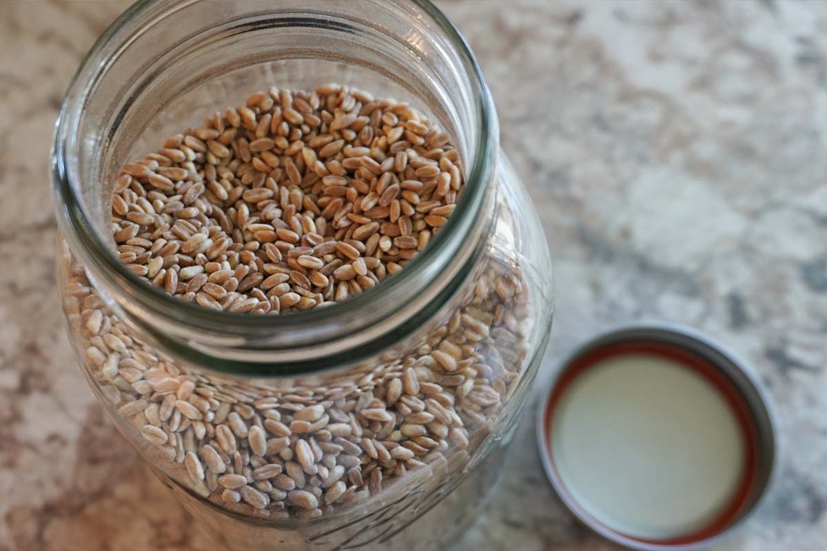 How to store whole grains Common Grains