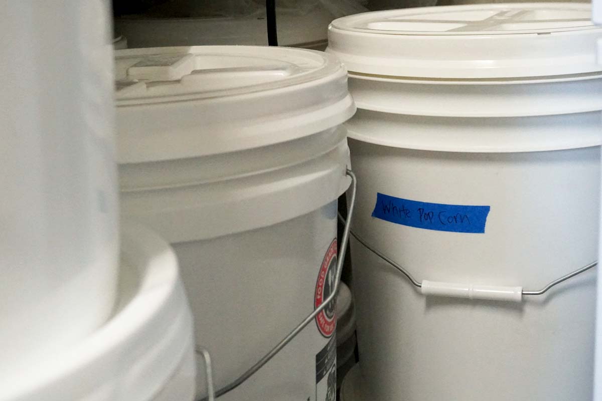 How to store whole grains Common Grains